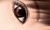eicon202.gif (2457 bytes)