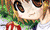 eicon217.gif (2183 bytes)