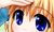 eicon232.gif (2535 bytes)